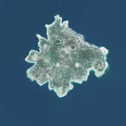 Thumbnail map of Skyropoula